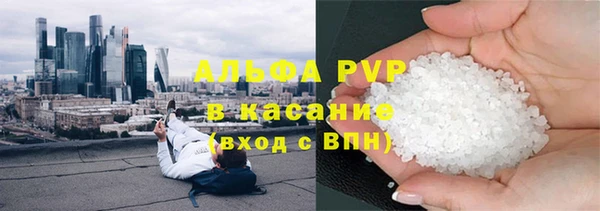 прущие грибы Гусев