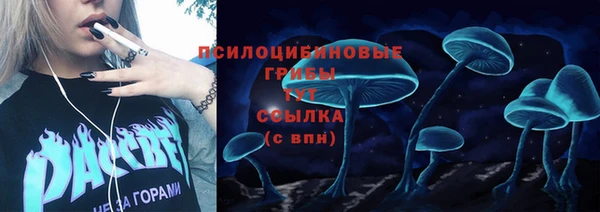 соль курить ск Гусиноозёрск