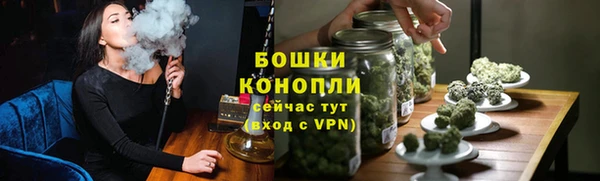 прущие грибы Гусев