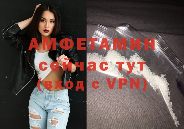 прущие грибы Гусев