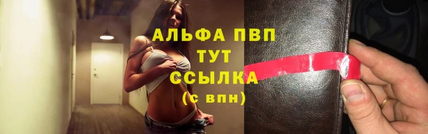 прущие грибы Гусев