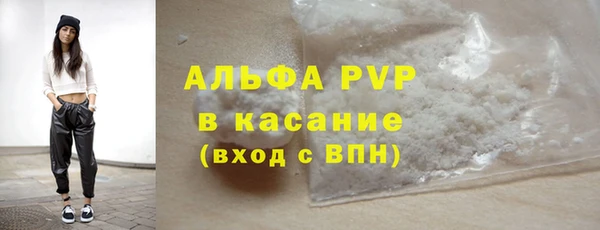 прущие грибы Гусев