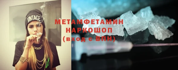 прущие грибы Гусев