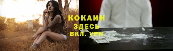 стафф Гусь-Хрустальный