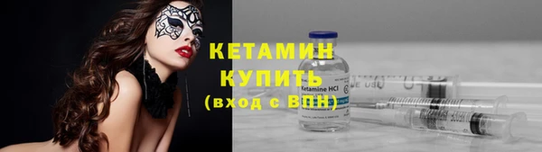 прущие грибы Гусев
