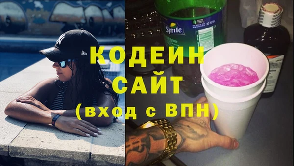 прущие грибы Гусев