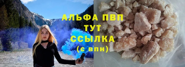 прущие грибы Гусев