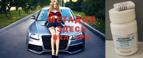 прущие грибы Горнозаводск