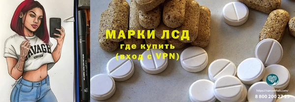 прущие грибы Гусев