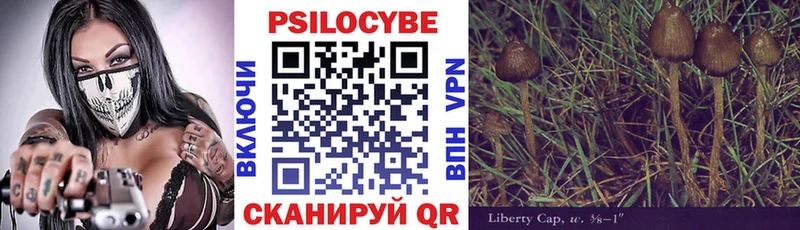 hydra ссылка сколько стоит Дмитров Псилоцибиновые грибы Cubensis