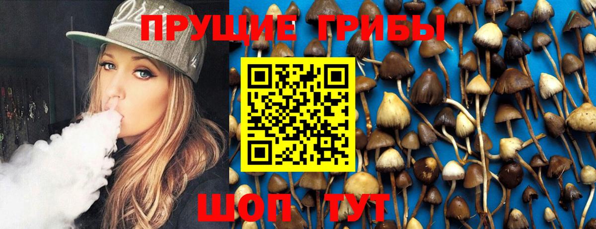 Дмитров  Псилоцибиновые грибы мухоморы  Вход с VPN 