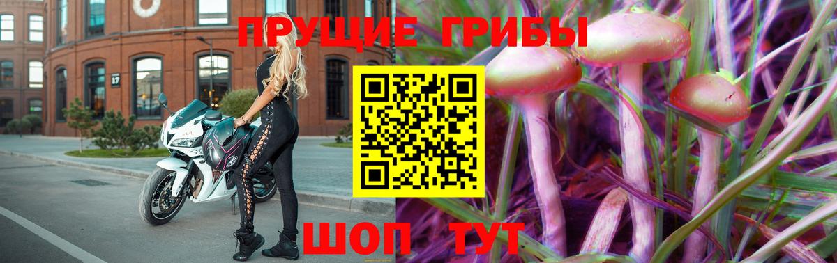 Галлюциногенные грибы MAGIC MUSHROOMS  Дмитров 
